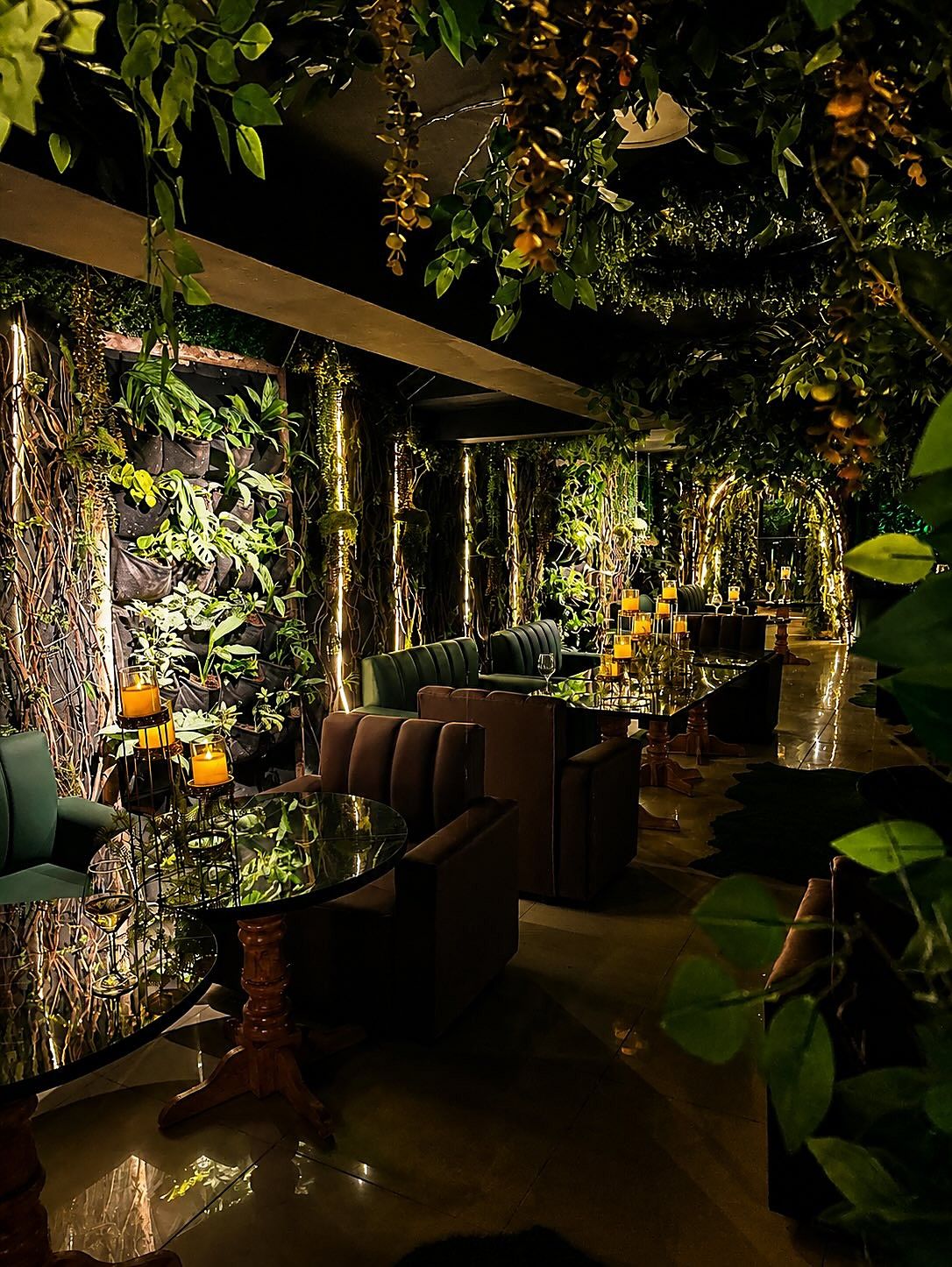 Mesas con velas encendidas entre plantas, de noche