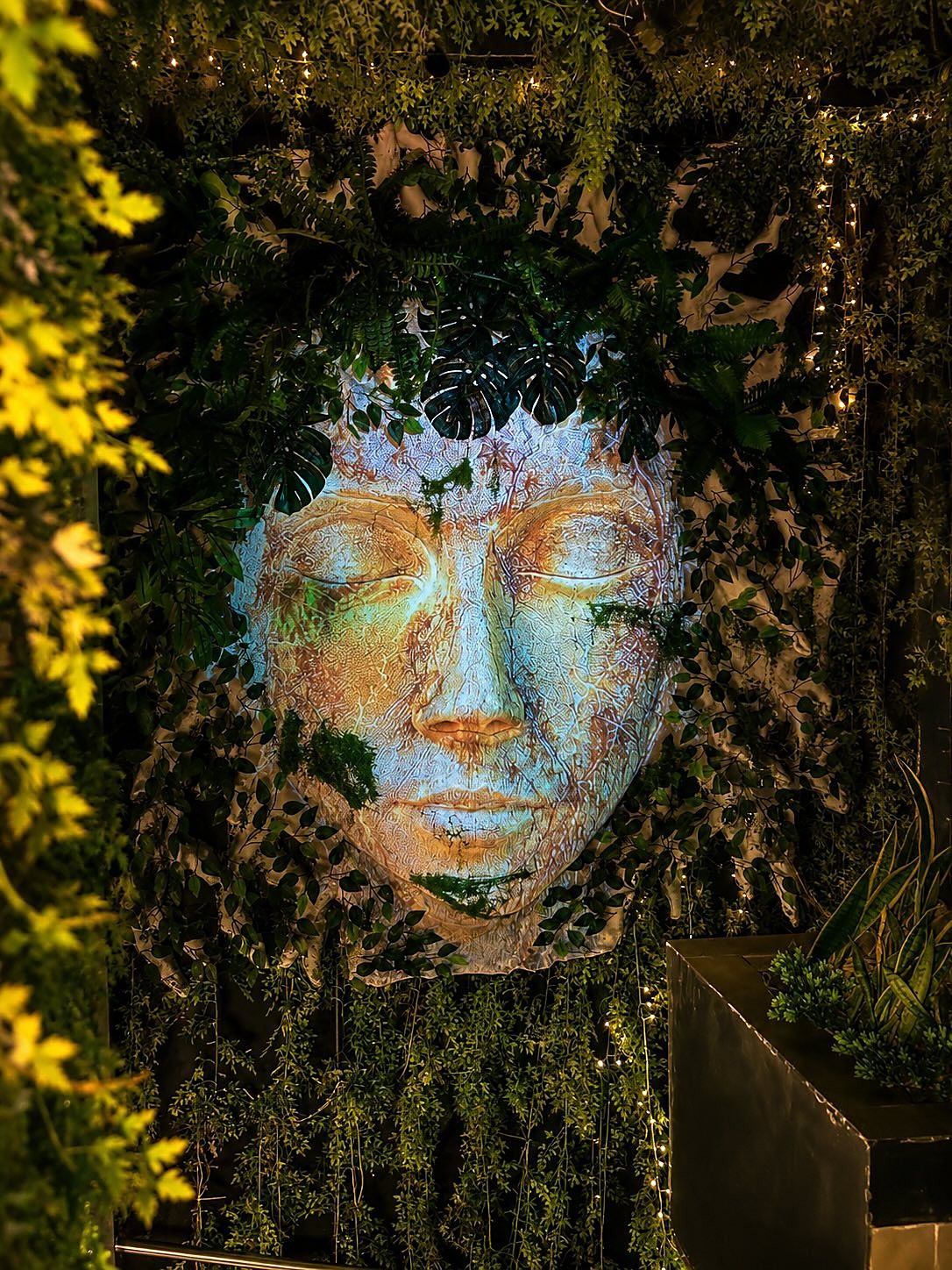 Rostro de piedra con luz azul entre plantas colgantes