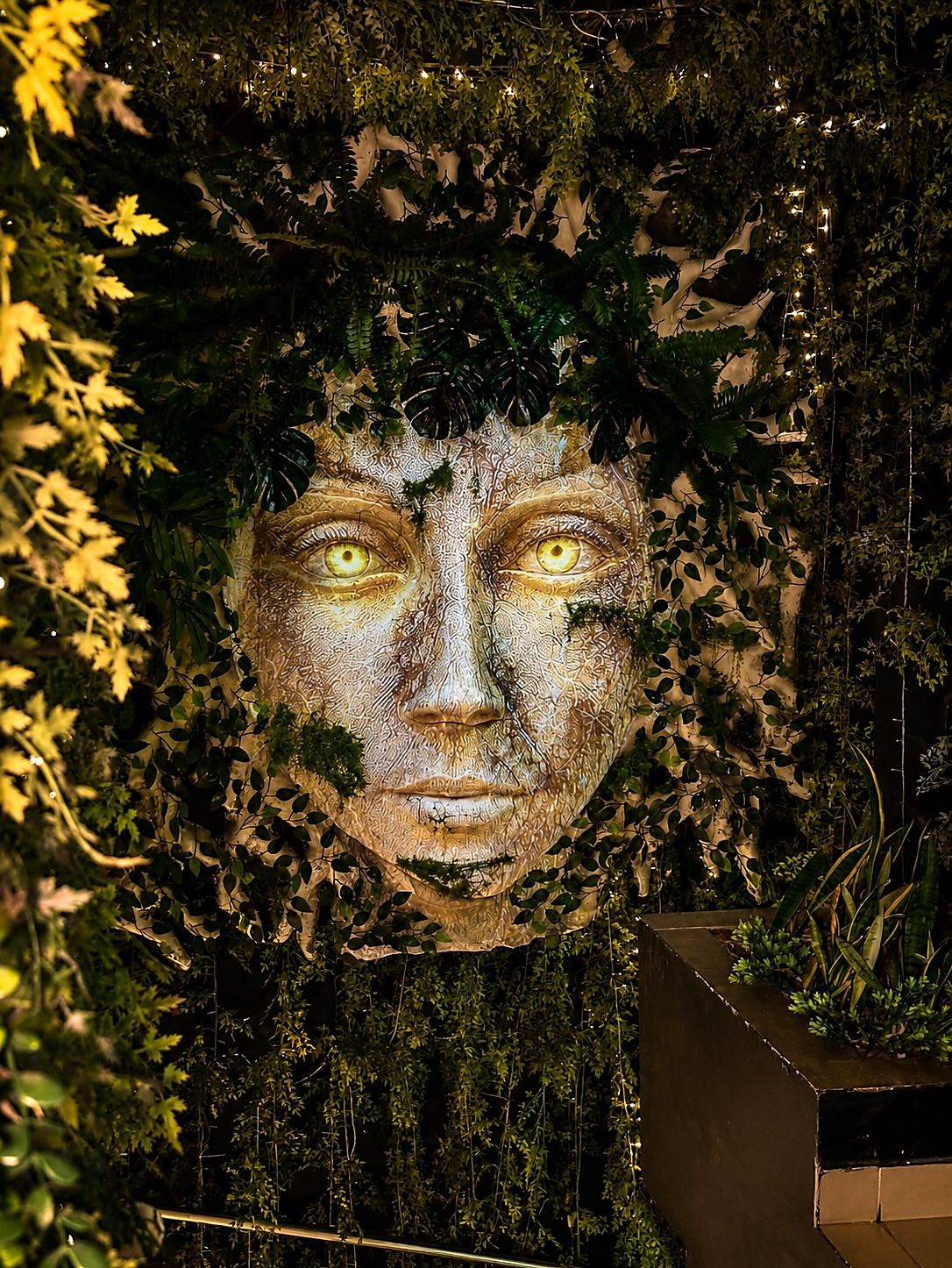 Rostro de piedra con luz dorada asomando entre el follaje
